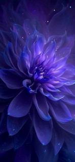 lRwdQAZwVIx4yx2IS5EJnNm9MiGaola_lWbW-EAYtEMF1rc2j1D94yA0fMQKk7BSFTfCRC12KFrlQVQXtRo7abyD