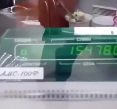 667