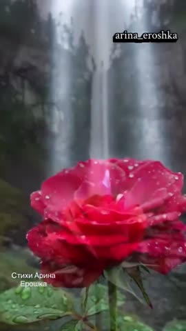 MOV_20260418_115420_112