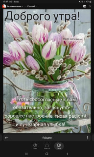 -Тихая-Радость-