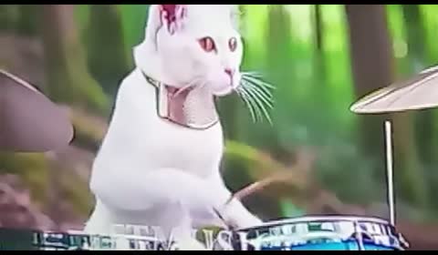 bedeee9ab1bc039f56acee81fe03a52c_1776518478586