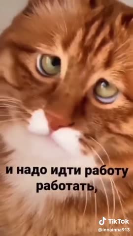 7f2348237c983ba7ee9d93436616976e_1776518575392