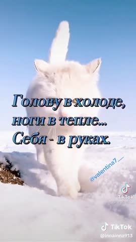 244f6fa4a38ac84ff37fe8471aa6c827_1776518564161