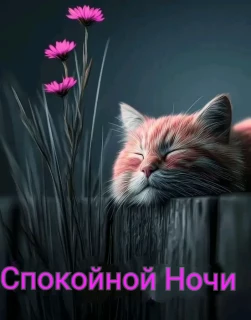 -Доброй-Ночки-