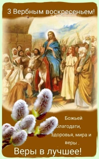 -Здоровья-и-Мира-