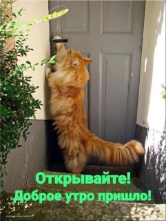 -Открывайте-