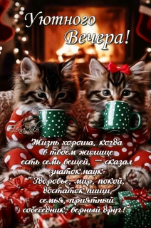 -7-правил-Жизни-