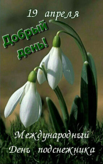 -Подснежник-