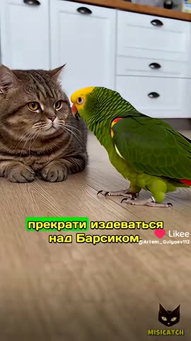 MOV_20260421_212323_972
