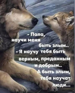 -Научи-Меня-