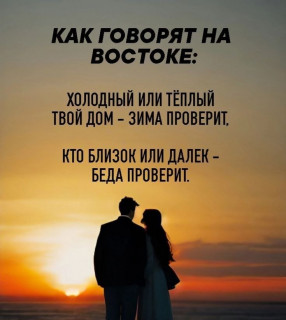 -Факт-Жизни-