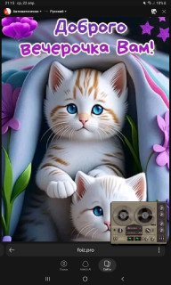 -Добрый-Вечер-