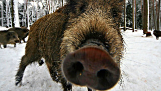 F5fGnXWqV7lZQ07FiDOgQPYlj4OQxk2GUkRPv7dNKnMkS_4LgxZeOwmf63rv7jWrLhUh4hOtNmOzB5l4n793AksC