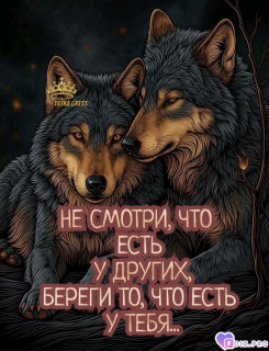 -438167-Правило-Жизни-