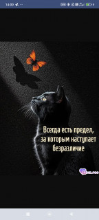 Screenshot_2026-04-24-14-09-54-125__foiz_