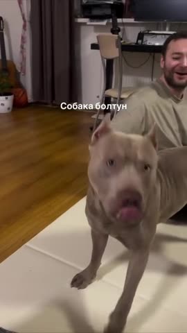 VID_20260414_182213_925