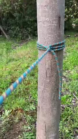 VID_20260326_022918_503