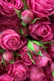 rEls3ydONHQnL8u-79cQrQEUfugx-bd6dbMoPy8Xh5d53ptg6FF5tr0H0m3oosfTjsKdn0RTCvFO3Tz_me5wOFme