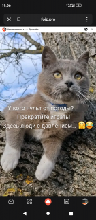 -Погода-