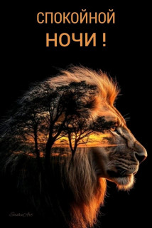 -Доброй-Ночки-