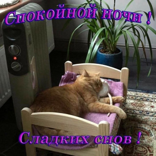 -Мышка-Подушка-