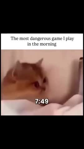 VID_20260427_094848_529