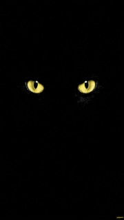 H9IsIT8eDYqSxPGe8HQvWanMWLjvdKNc5paEzOzQYLLhQHTavG5pBErtjm9Ji7QpKxWcVcJxL9e8kYpYFXOvVfjm