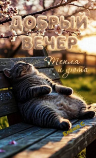 -Добрый-Вечер-