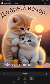 -Мир-и-Покой-