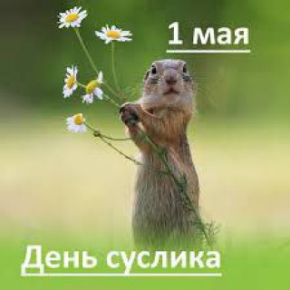 -День-Суслика-