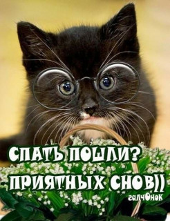 -В-очках-