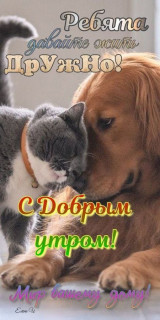 -Дружба6