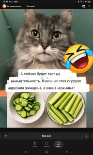 -Тест-М-и-Ж-