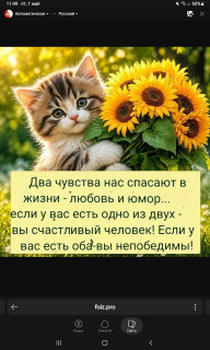 -Любовь-и-Юмор-