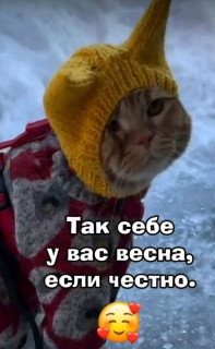 -Весна-