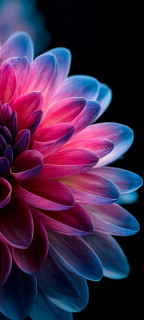 HBuU5vCIRCE429bdTJhh_ki_SPkWgcs6nkd4uxDC52iQRiE8aJWoolzjPA7btOfLl9Ctc9wi3oBsyh8s3hbjPG18