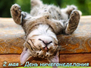 -День-Безделья-