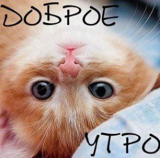 -Доброе-утро-