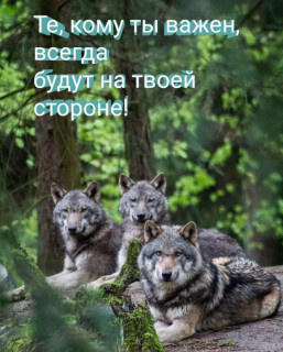 -Так-и-есть-