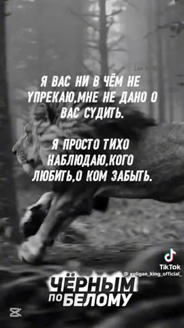 c00a5776e96fcd70b54e739561d2ec7c
