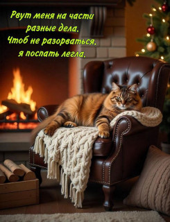 -Отдыхаем-