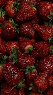 ilKSwXbgbklQxFXS2Ttol2OxEFZ11g2U89ISTjBUXeM5Unv2jrWwSWtf0hs8KYUL6KVRPRCwPT6xz928pcsL3Rw3