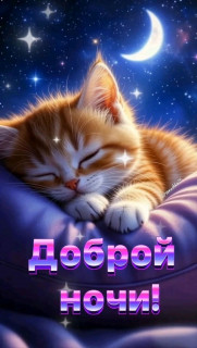 -Доброй-Ночки-2-