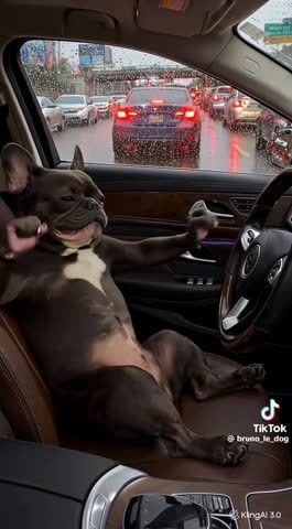 VID-20260508-WA0039