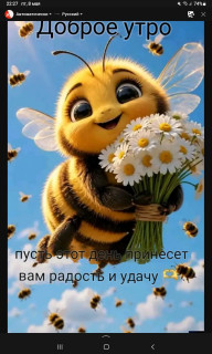 -Радость-и-Удача-