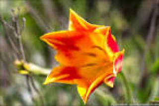 images-19