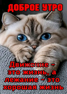 -Хорошая-Жизнь-