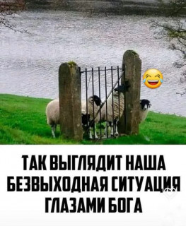 28fbee27446f7768bf3613c3b57da6c1_webp