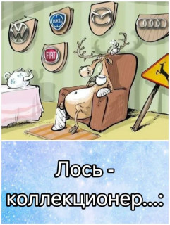 d2ef8006a4b2d3d7fdeaade5186a506f_webp