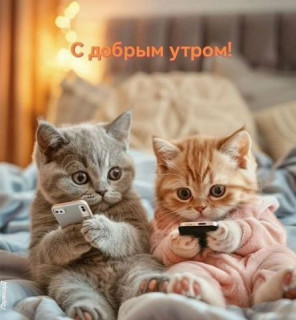 -237319-Утро-